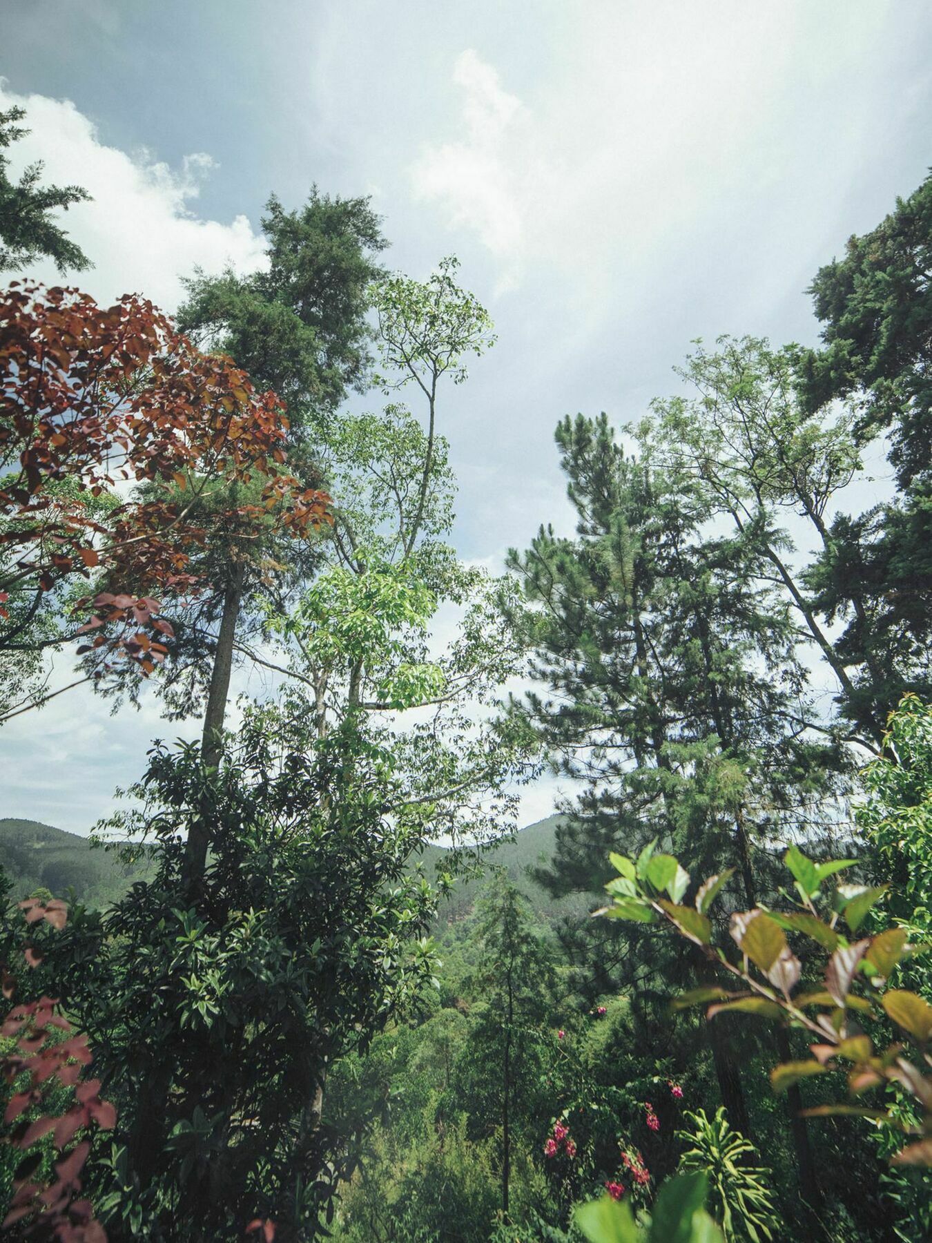 Villa Republic Бандаравела Екстер'єр фото